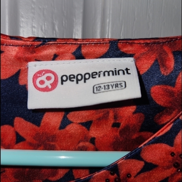 Peppermint Brand Dress size 12/13 yrs  Floral Winter Dress Christmas - Picture 3 of 5